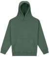 JH111 AWDis Vision Heavyweight Hoodie Moss Green colour image